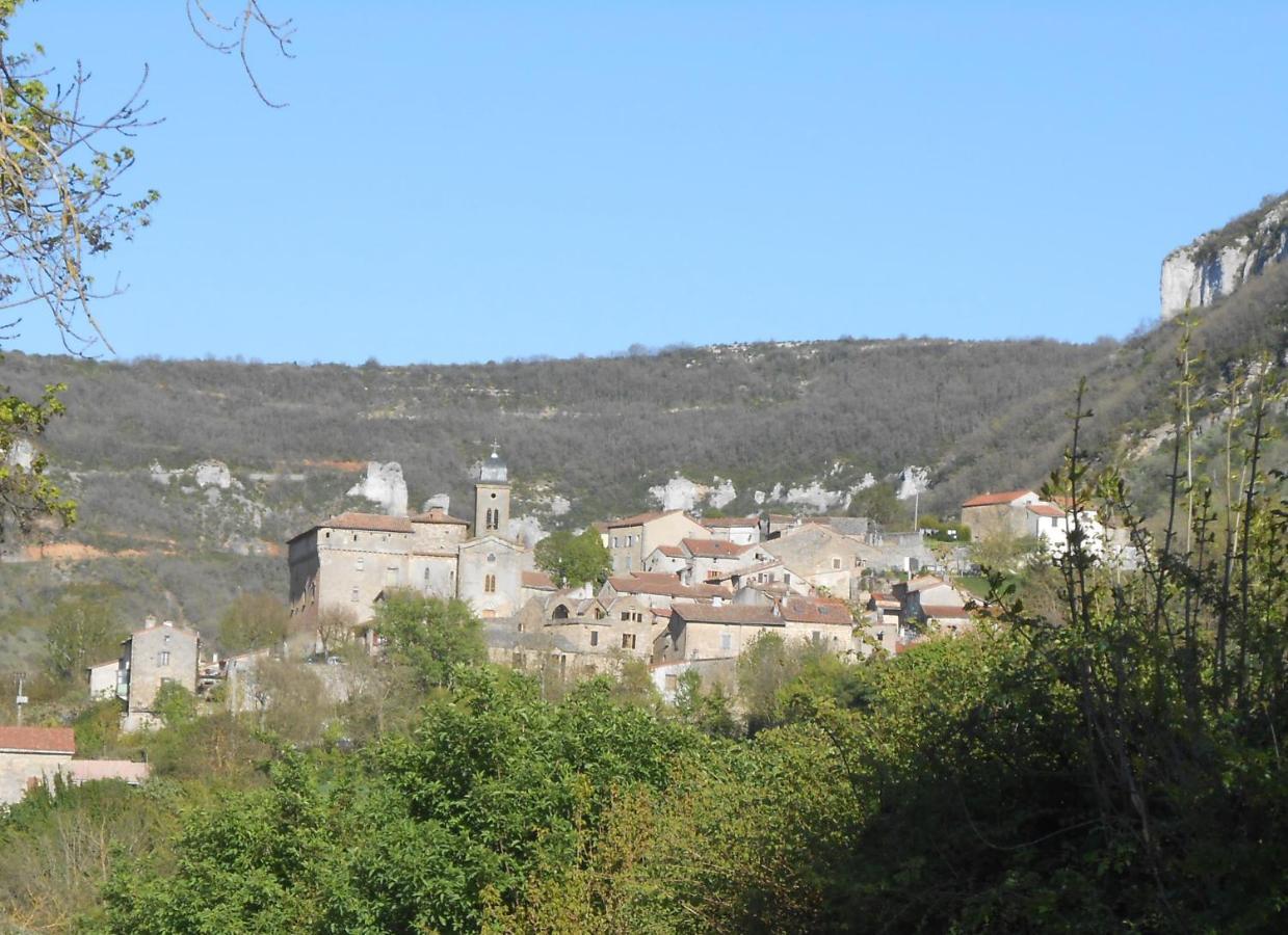 Maison Spacieuse Et Agreable Saint-Georges-de-Luzençon Zewnętrze zdjęcie